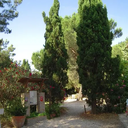 Manade Cavallini - Mas De Pioch Guest house *